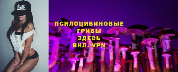 стаф Алексеевка