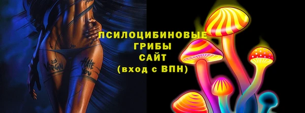 mdpv Горняк