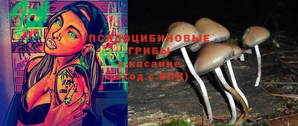 героин Алзамай