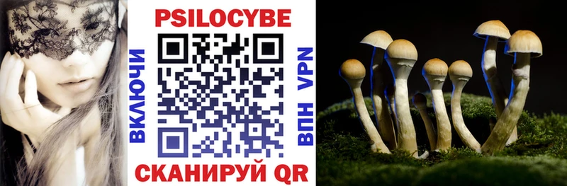 Псилоцибиновые грибы Psilocybe  Пущино 